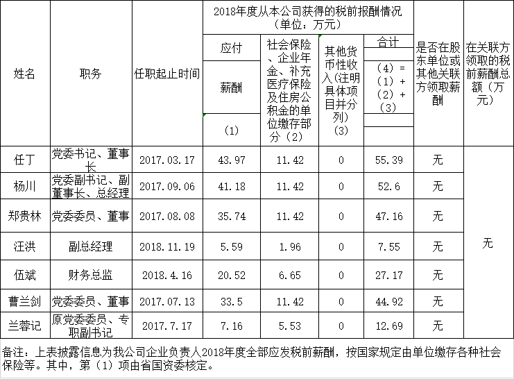 四川省ag亚娱集团有限责任公司负责人2018年度薪酬情况
