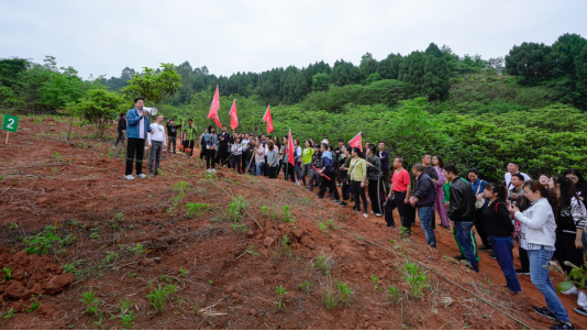 省ag亚娱集团开展龙泉山城市森林公园 “包山头”植树活动