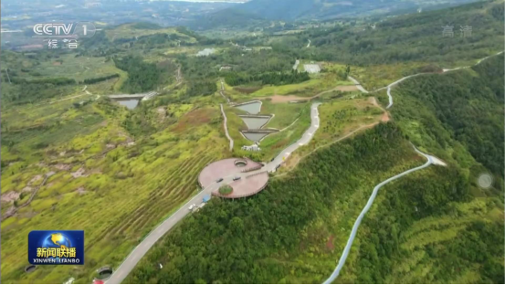迎橄榄丰收 助乡村振兴 ag亚娱聚峰谷油橄榄产业带动金堂公园城市绿色低碳发展