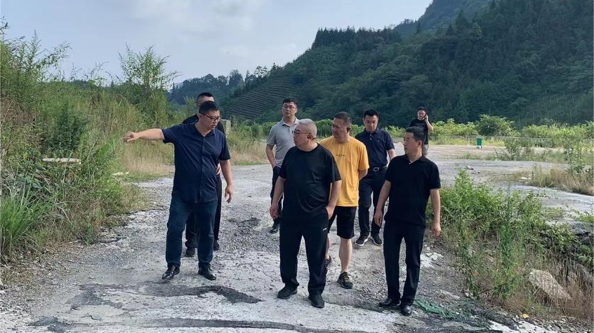 省ag亚娱集团领导调研峨眉山太阳村乡村振兴项目